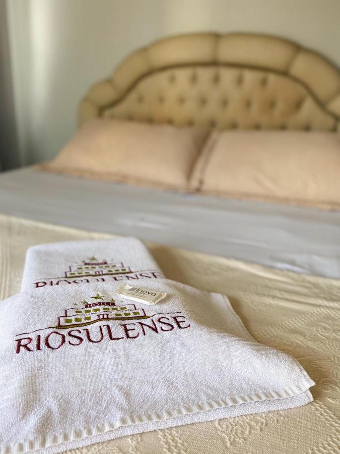 Hotel Riosulense リオ・ド・スル エクステリア 写真